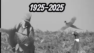 100th Year Anniversary of Pheasant Hunting in the Hawkeye State. 