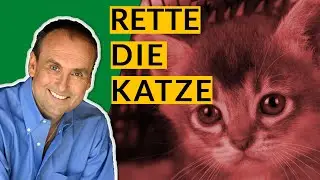 Rette die Katze | So wirst du in Filmen manipuliert! (Blake Snyder)