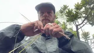 making cordage from inner  eucalyptus bark #cordage #makecordage #primtiveskills #survivalskills