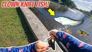 FISHING a SOUTH FLORIDA marina! (INSANE)