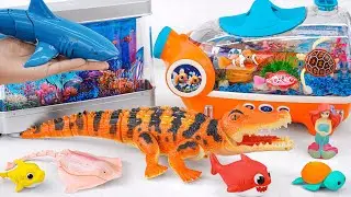 [Toy asmr] RC Stingray & RC Shark & Zuru Robo Fish & Harp's Aquarium ASMR Satisfying with Unboxing