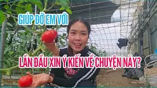 605🇰🇷 LẦN ĐẦU XIN Ý KIẾN GIÚP ĐỠ VỀ CHUYỆN NÀY?