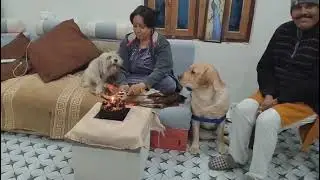 Happy New Year from Joy n Angel Family #funny #trending #ytshorts 