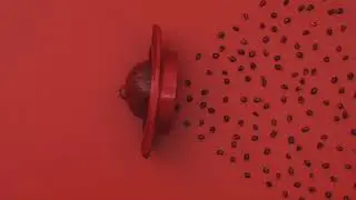 Chef'n // Pomegranate Tool