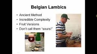 European Beer Travel Facts
