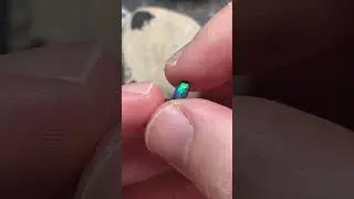 OP280 - Lightning Ridge black opal