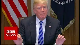 Trump: Immigrant gangs 'animals, not people' - BBC News