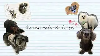 16 - Puppy (Lyric video)
