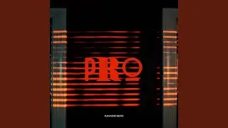 Pro