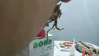 Mini twig hardscape making