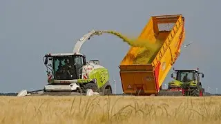 Harvest 2022 | Whole crop barley silage | Claas Jaguar 960 + much more!