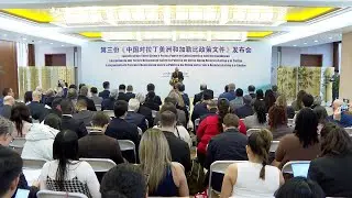 Official: China's LAC document to serve as roadmap for bilateral ties