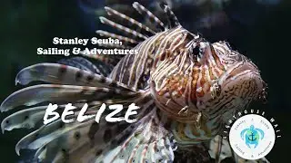 Scuba Belize, 2021, Lighthouse Wall, Lighthouse Atoll