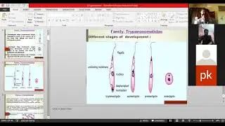 Trypanosomes lecture by Dr. Ajit Kumar, Dept. of Parasitology, BVC, Patna