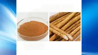 achyranthes bidentata extract supplier,wholesale,bulk,factory