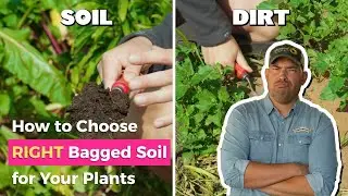 How to Choose the RIGHT Bagged Soil for Your Plants