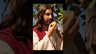 jesus Christ Clearing negativity enargy #dreamscreenai #jesuschrist #shortmasihvideo #jesuslovesyou