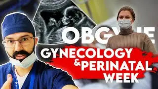 A Week In The Life of A Medical Student: OBGYN Rotation