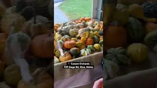 📍Conant Orchards 729 Stage Rd, Etna, Maine #appleorchard #maine #applepicking #fall