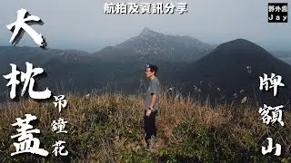 賞花路線推介｜大枕蓋｜牌額山｜欣賞初四水尾吊鐘花🌺｜尋找大枕蓋吊鐘王｜登上景色一望無際的牌額山［航拍及資訊分享］￼