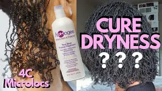 This CURED her DRYNESS? | Microlocs Q&A Pt.2