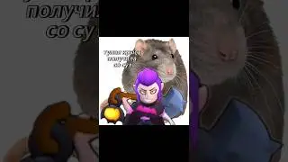 НОВЫЙ ЗАВОЗ В DADDY SHEF X Мортис крыса #приколы  #бравл #brawler #brawlstars #бравлик #бравлстар
