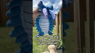Why Worms Live Underground 😈 #anomalocaris #omniman #invincible #cambrianexplosion