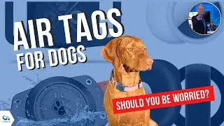 Is an AirTag dangerous to your dog? | Kurt the CyberGuy