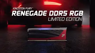 Память со скоростью 8000 МТ/с и RGB-подсветкой &mdash; Kingston FURY Renegade DDR5 RGB Limited Edition