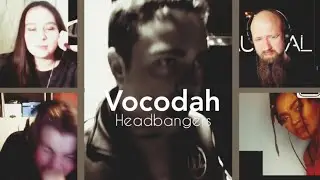 how people react to vocodah headbangers