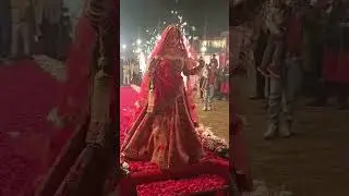 entry Dulhan varmala #wedding #public#rajasthani#rajthani #newvideo#sorts #song#sortvideo#viralsong