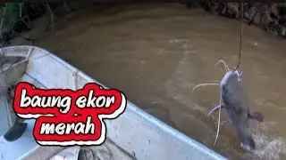 Sekian lama tak dapat hari ini baru mendarat