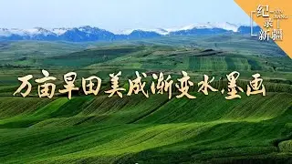 盛夏时节，新疆奇台县20万亩旱田，因海拔落差形成独特风貌 | 纪录新疆