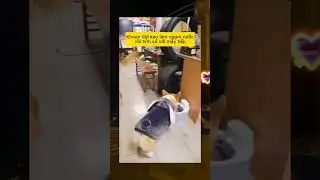 😂😂 #funny #funnyshorts #funnyvideo