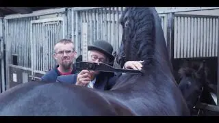 Keuring Denemarken 2019 Barock Pinto Studbook