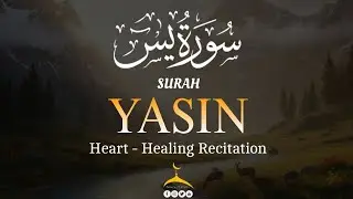 Surah Yasin | سورة يس | Soothing & Beautiful Recitation for Inner Peace by Alaa Aqel Quran for Sleep