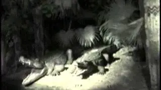 Jungle Cruise at nite 2000