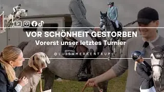 Wildes Pony, zu sp&auml;t und ein zu kurzer Sattelgurt 🤠