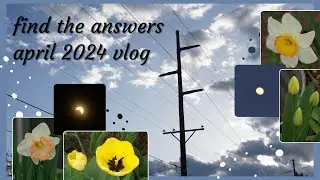 find the answers | april 2024 vlog
