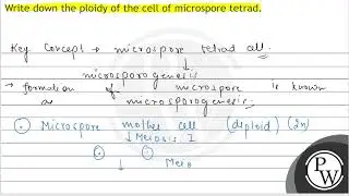 Write down the ploidy of the cell of microspore tetrad.