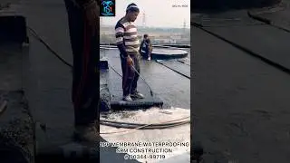 ROOF WATERPROOFING #construction #civilengineering #shortvideo #viral #shorts #short #youtubeshorts