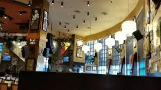 Hard Rock Cafe in Chicago
