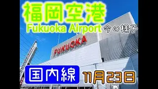 【交通】福岡空港国内線の現状を紹介しますIntroduction to Fukuoka Airport domestic flights