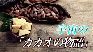 【パワーフード】インディゴチルドレン スピリチュアルなカカオパワー  心・身体・精神・魂  ローチョコレートのすごい効果  消えかけた宇宙でのカカオの歴史と私達の残した想い