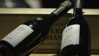 The home of the superstar of French wines: Champagne