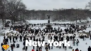 Central Park, New York After the Snowstorm ❄️ 