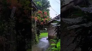 ASMR Rain makes you fall asleep quickly, full video in profile