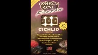 Feeding Tiger Oscar Omega One Frozen Cichlid Formula Cube