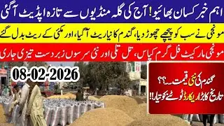 Today Wheat price in punjab//گندم کا ریٹ2026/munji makki till sarso/Galla mandi rate today 2026