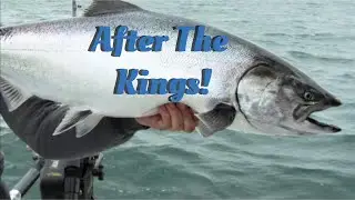 After the Kings
